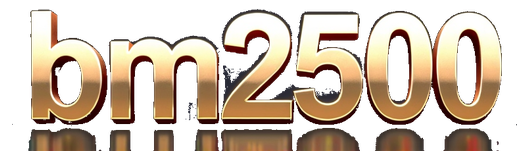 bm2500 logo